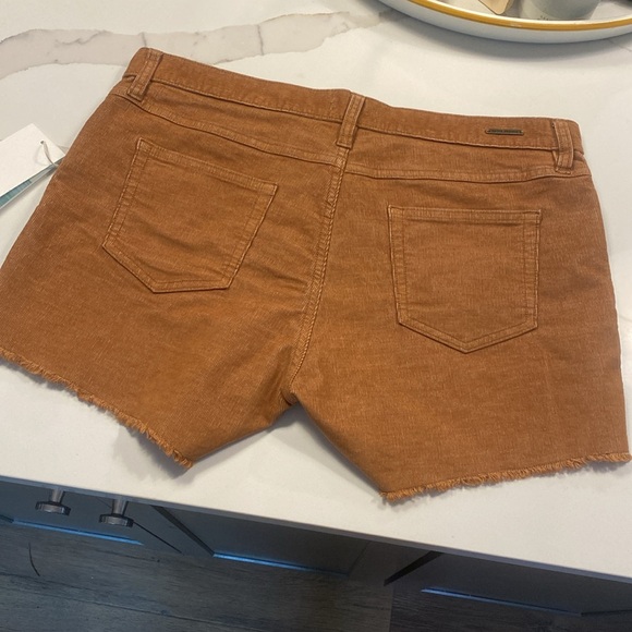 Carve Designs || Oahu Short - Picture 6 of 11